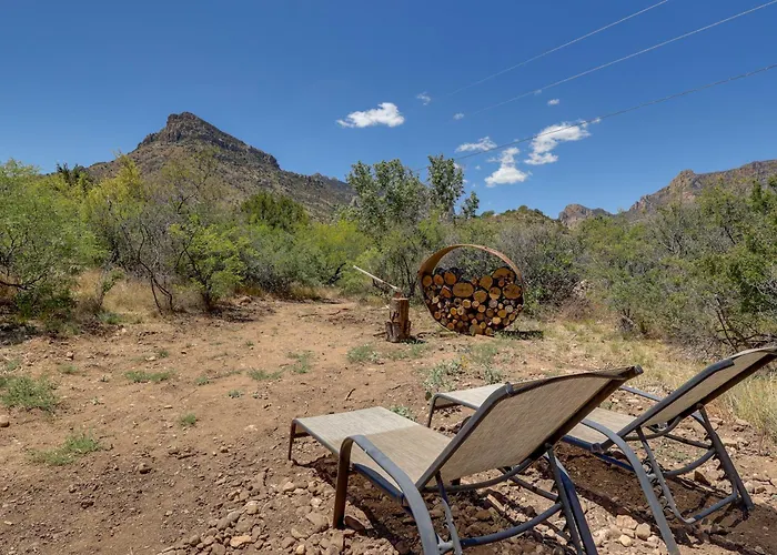 Chiricahua Bird/sky By Cave Creek Canyon * Portal