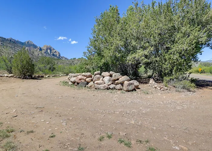 Chiricahua Bird/sky By Cave Creek Canyon